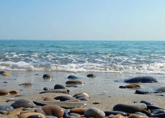 La Gaviota - Bilocale Sul Mare In Arziglia Bordighera
